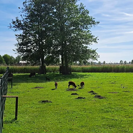 Shared Fieldsight - A Shared No Breakfast Privatunterkunft Doornspijk