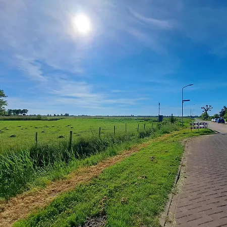 Shared Fieldsight - A Shared No Breakfast Homestay