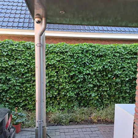 Shared Fieldsight - A Shared No Breakfast * Doornspijk