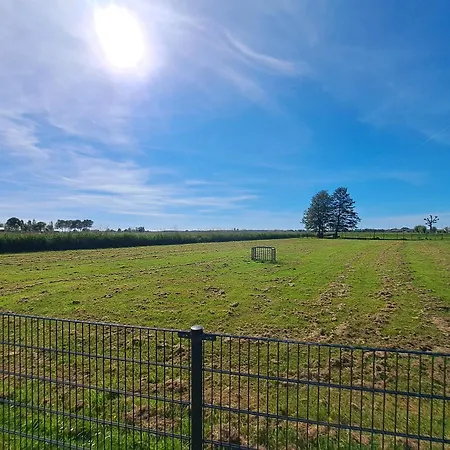 Shared Fieldsight - A Shared No Breakfast Homestay *